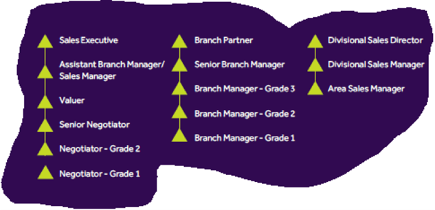 Sales Career Path