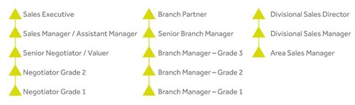 Sales career path